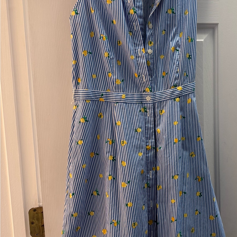 Jcrew Blue Striped Tank Dress With Lemons